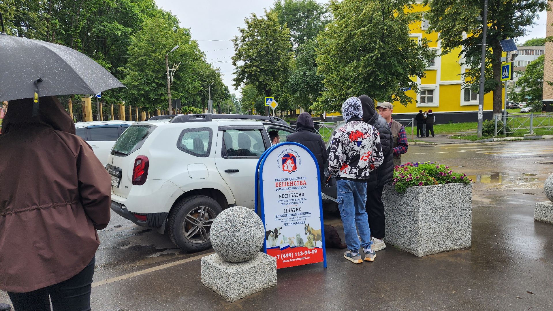 ступино, ветеринария, медицина, чипирование,