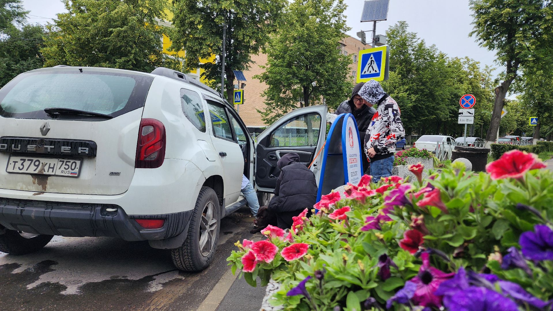 ступино, ветеринария, медицина, чипирование,