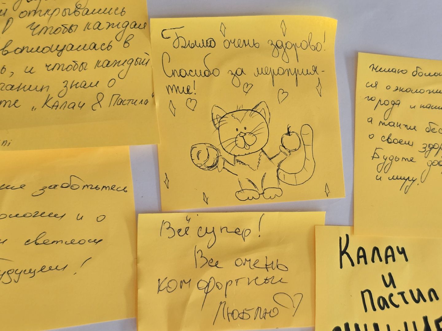 Коломна, экологический фестиваль, экомобиль,