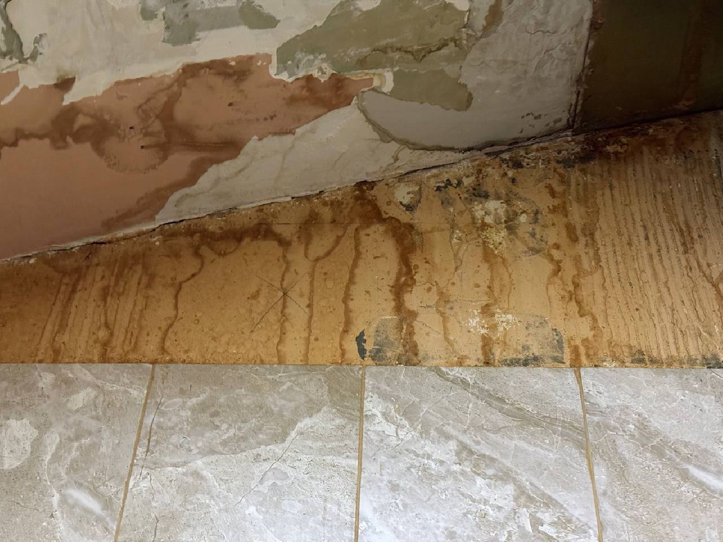 выездная администрация, прием граждан, обращения жителей, ногинск, богородский городской округ,