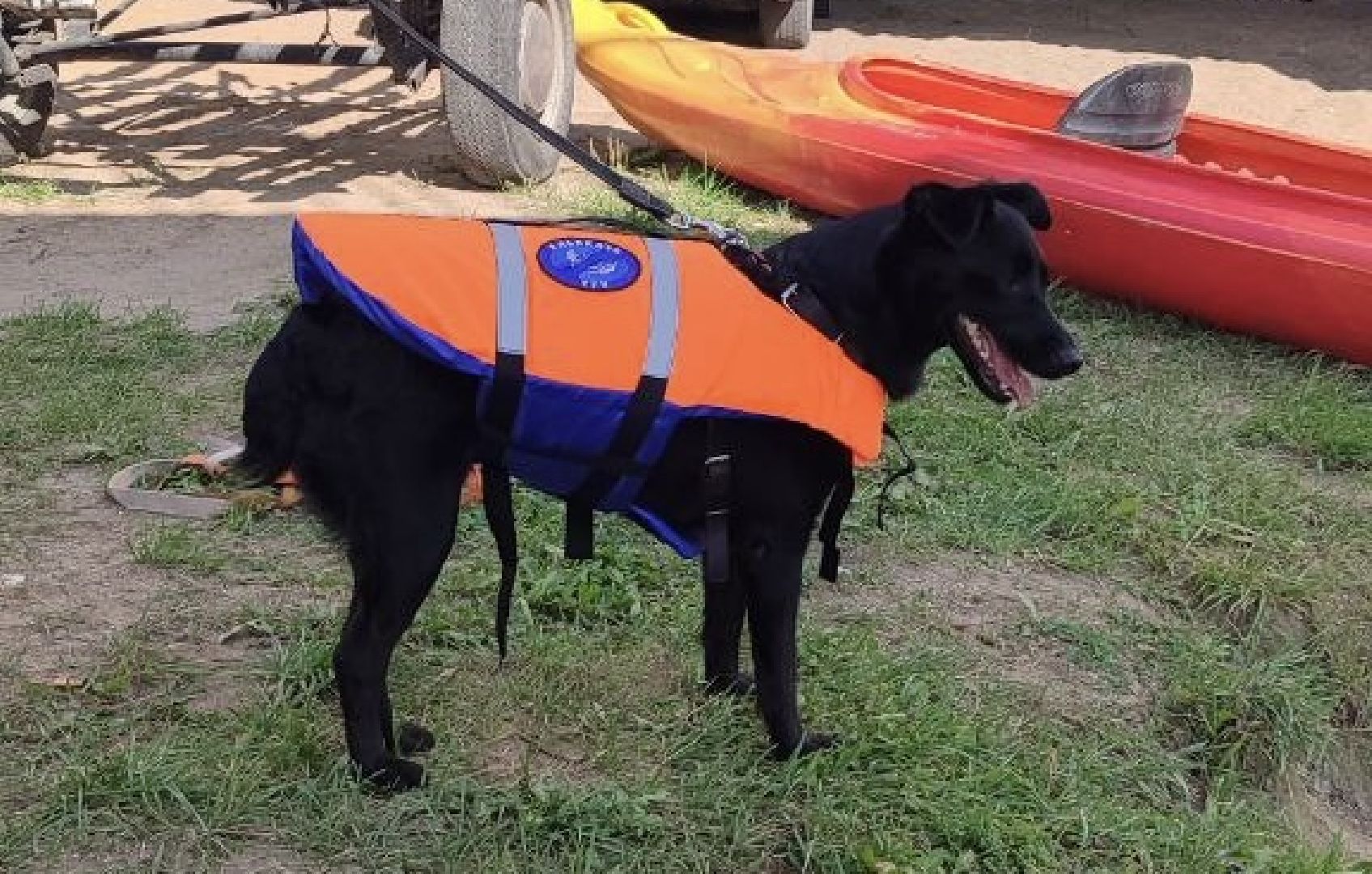 Истра, Каяки , сплав на каяках,