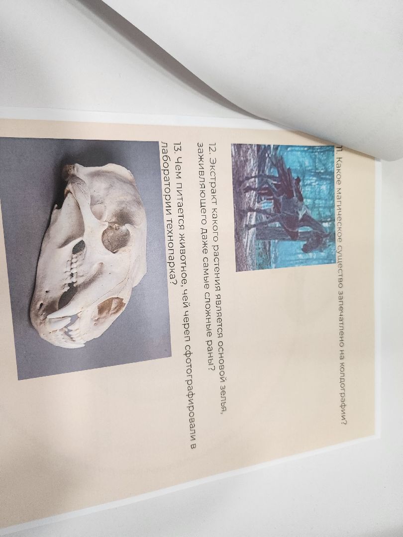 долгопрудный, технопарк физтех-лицея, биохимтех, биотеххогвартс, гарри поттер, магия науки, интенсив, лето в технопарке,