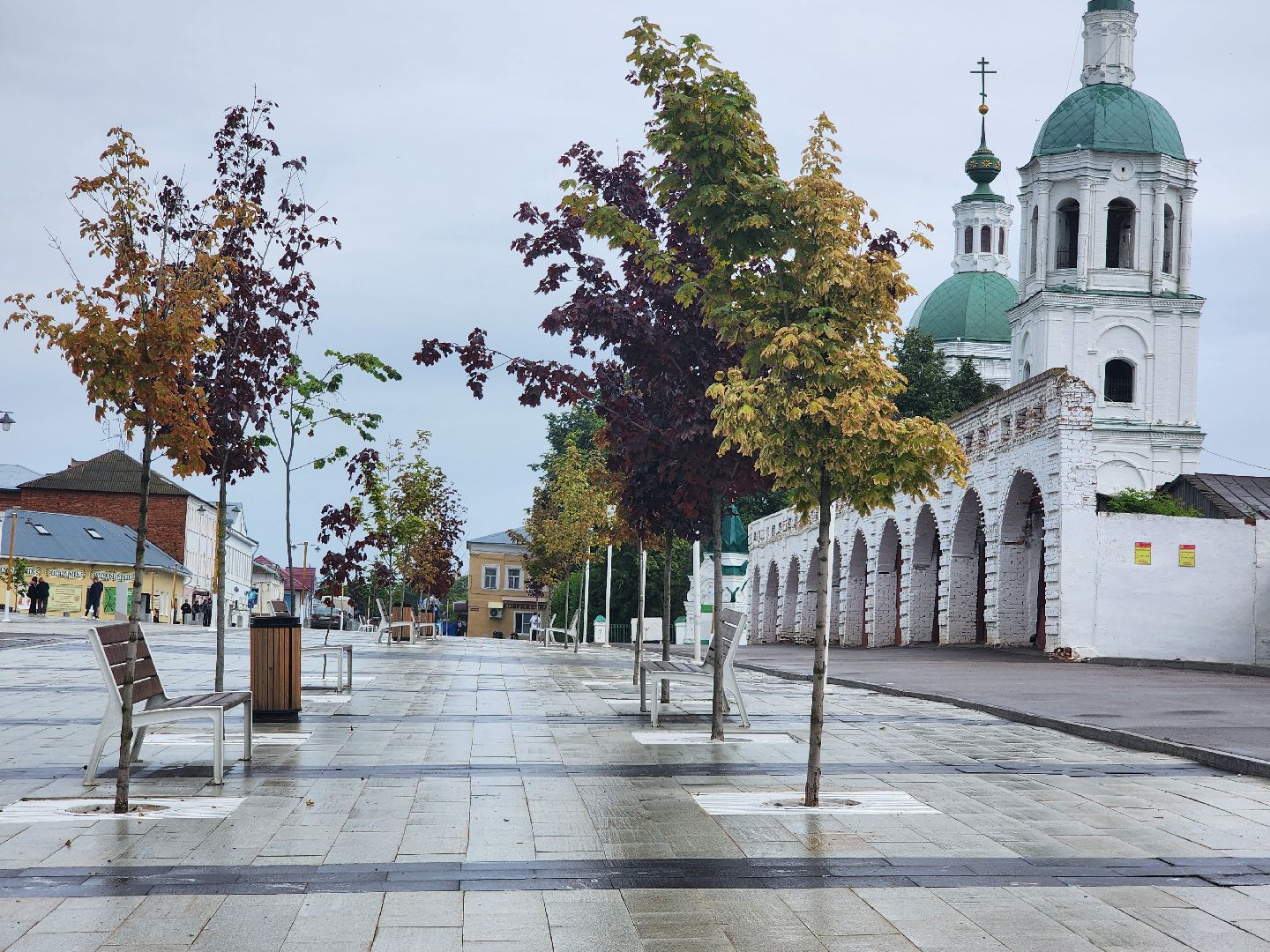 Зарайск, Русский Халк,ЗОЖ, мировой рекордсмен, Сергей Агаджанян,
