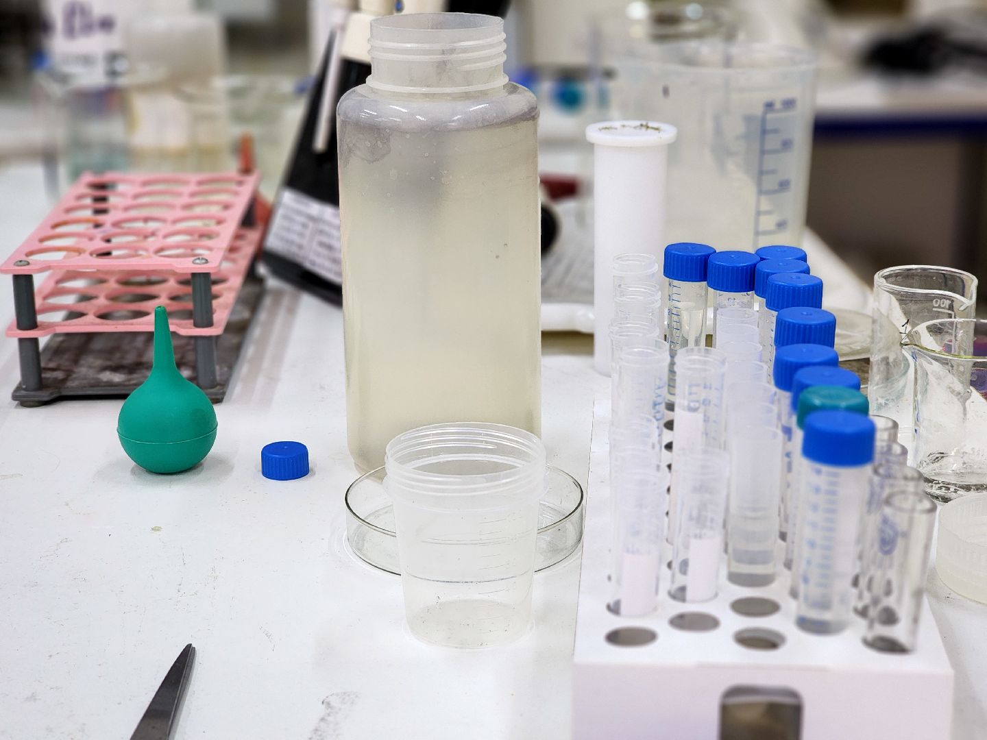 дубна, университет дубна, студенческая олимпиада, химия,