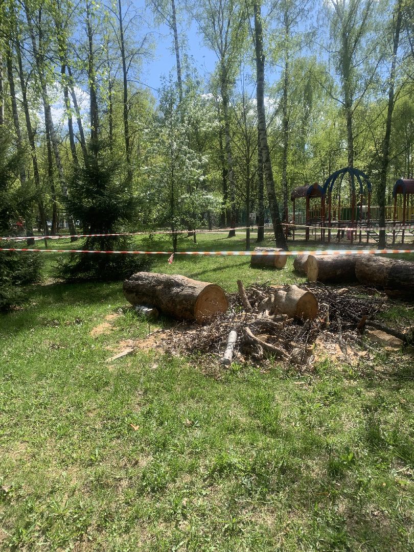 Парки Подмосковья, благоустройство