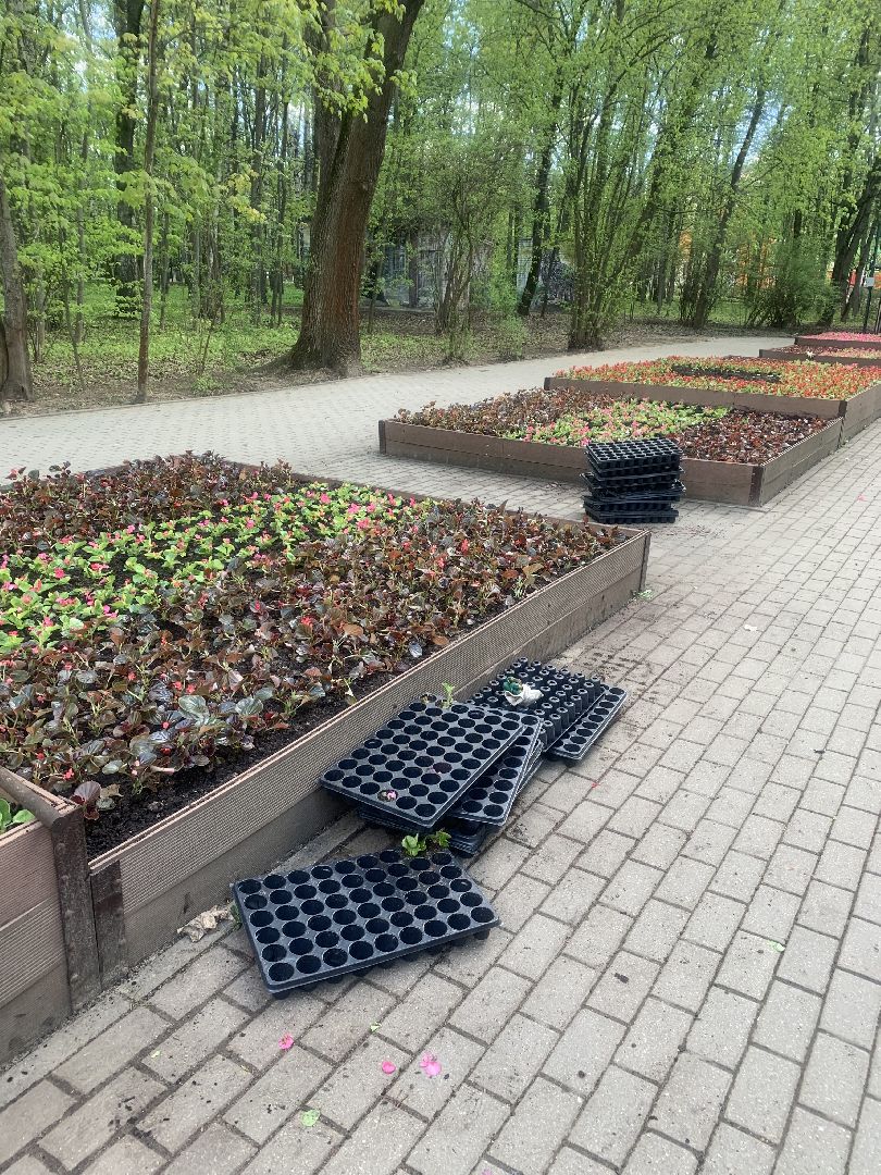 Парки Подмосковья, благоустройство