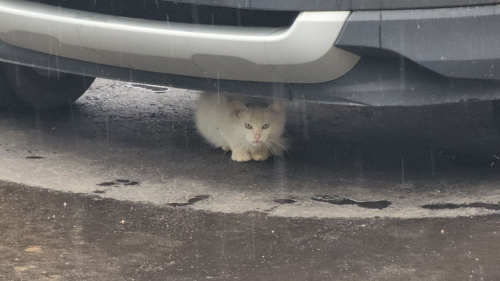 кашира, благоустройство, ожерелье, дворы, комплексное благоустройство двора, программа губернатора, асфальт, бордюры, парковка,