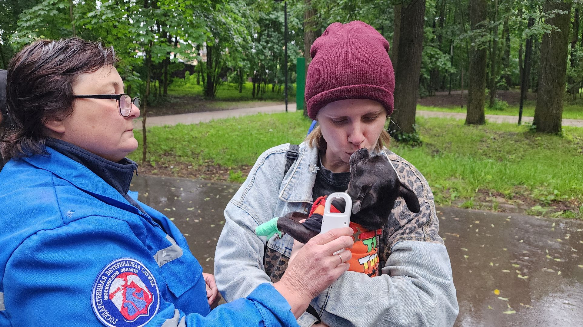 ветеринарная служба, животные, вакцинация животных, чипирование собак, лосино-петровский,