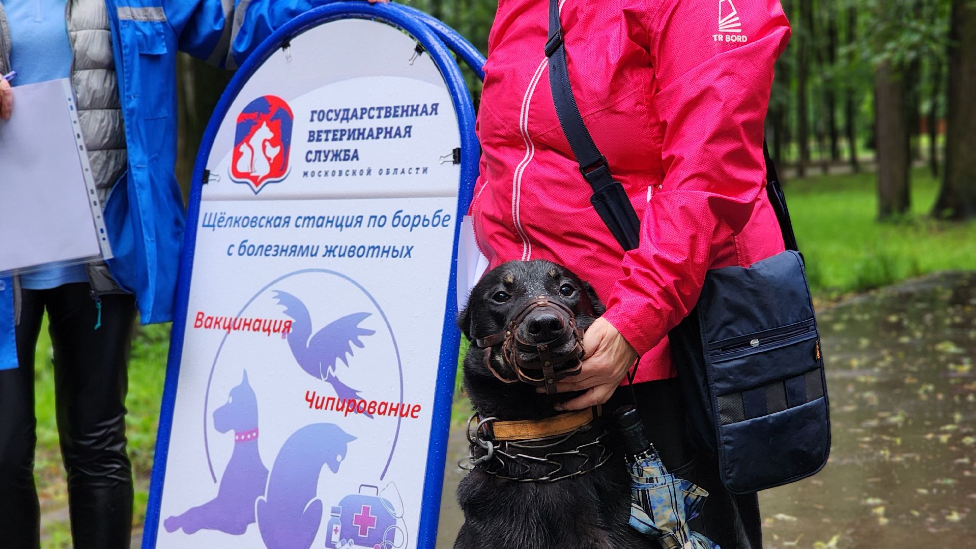 ветеринарная служба, животные, вакцинация животных, чипирование собак, лосино-петровский,
