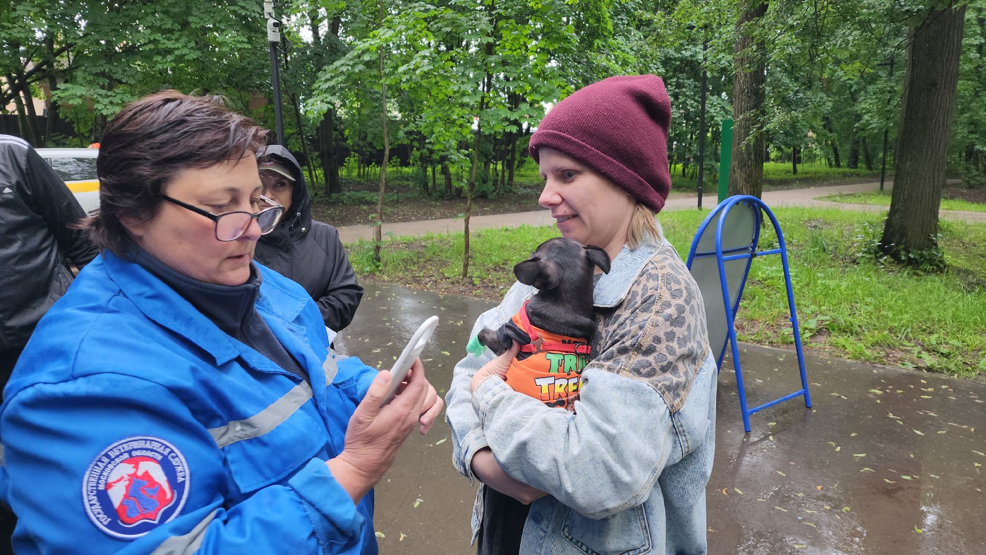 ветеринарная служба, животные, вакцинация животных, чипирование собак, лосино-петровский,