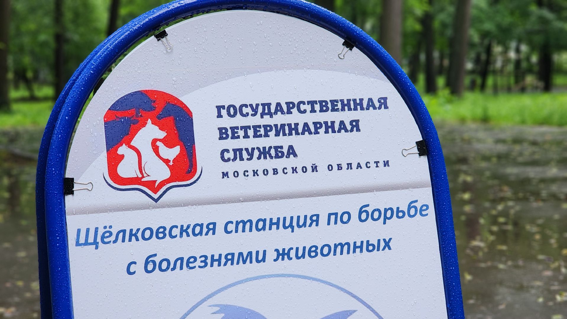 ветеринарная служба, животные, вакцинация животных, чипирование собак, лосино-петровский,