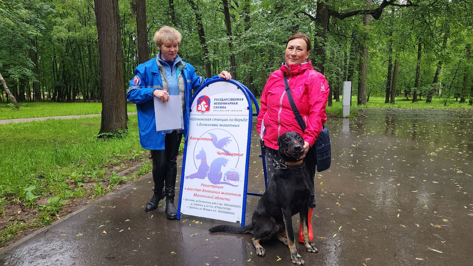 ветеринарная служба, животные, вакцинация животных, чипирование собак, лосино-петровский,