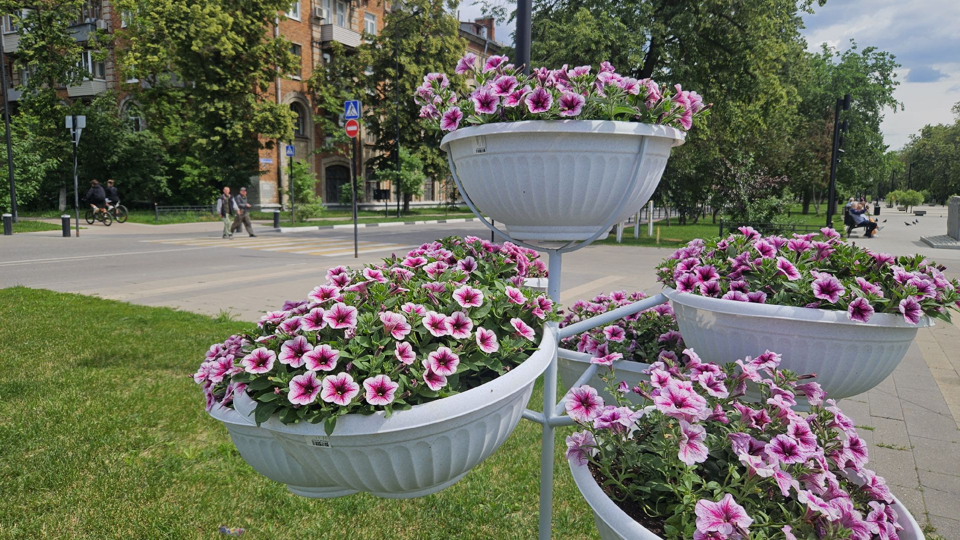 цветы, озеленение, жуковский, вечный огонь,