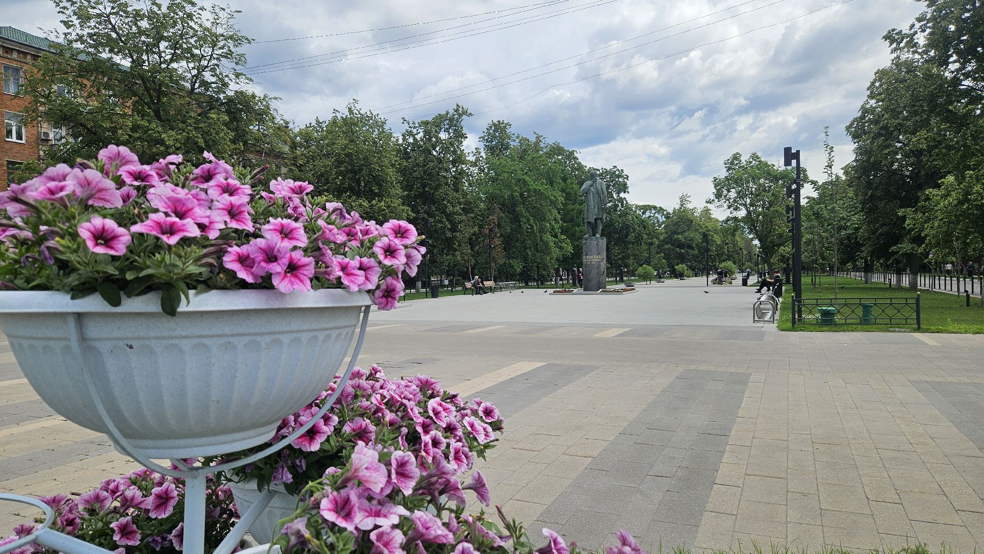 цветы, озеленение, жуковский, вечный огонь,