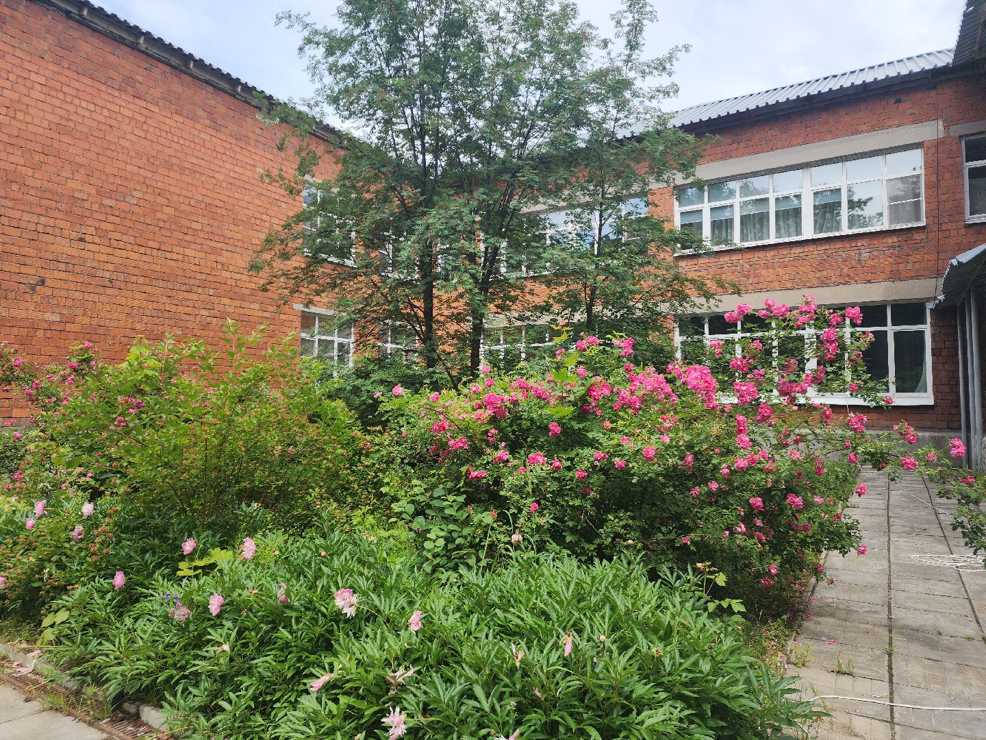 пущино, серпухов, образование, капитальный ремонт детского сада,