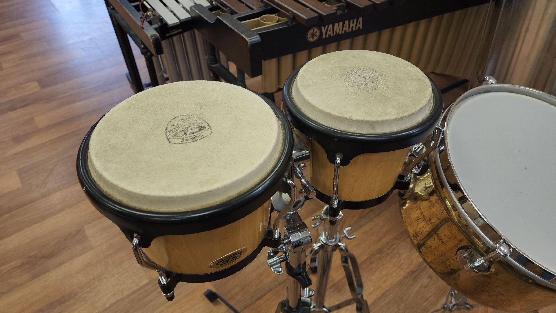 знаменские барабанщики, красногорск,