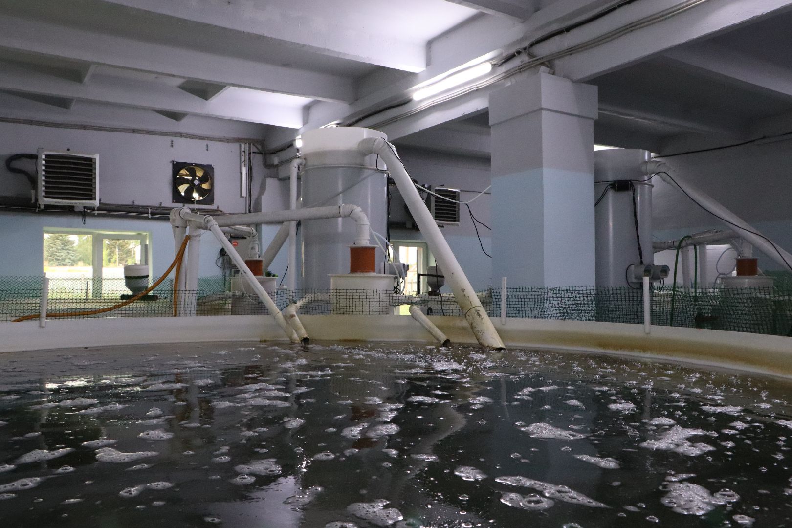 серебряные пруды, осетровая ферма, голдфиш,