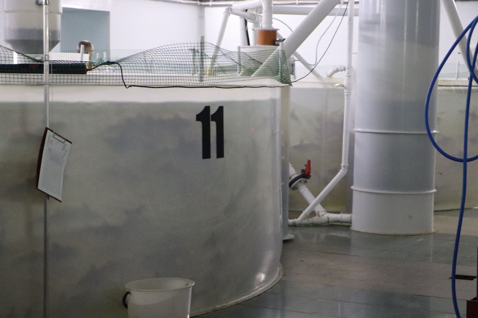 серебряные пруды, осетровая ферма, голдфиш,