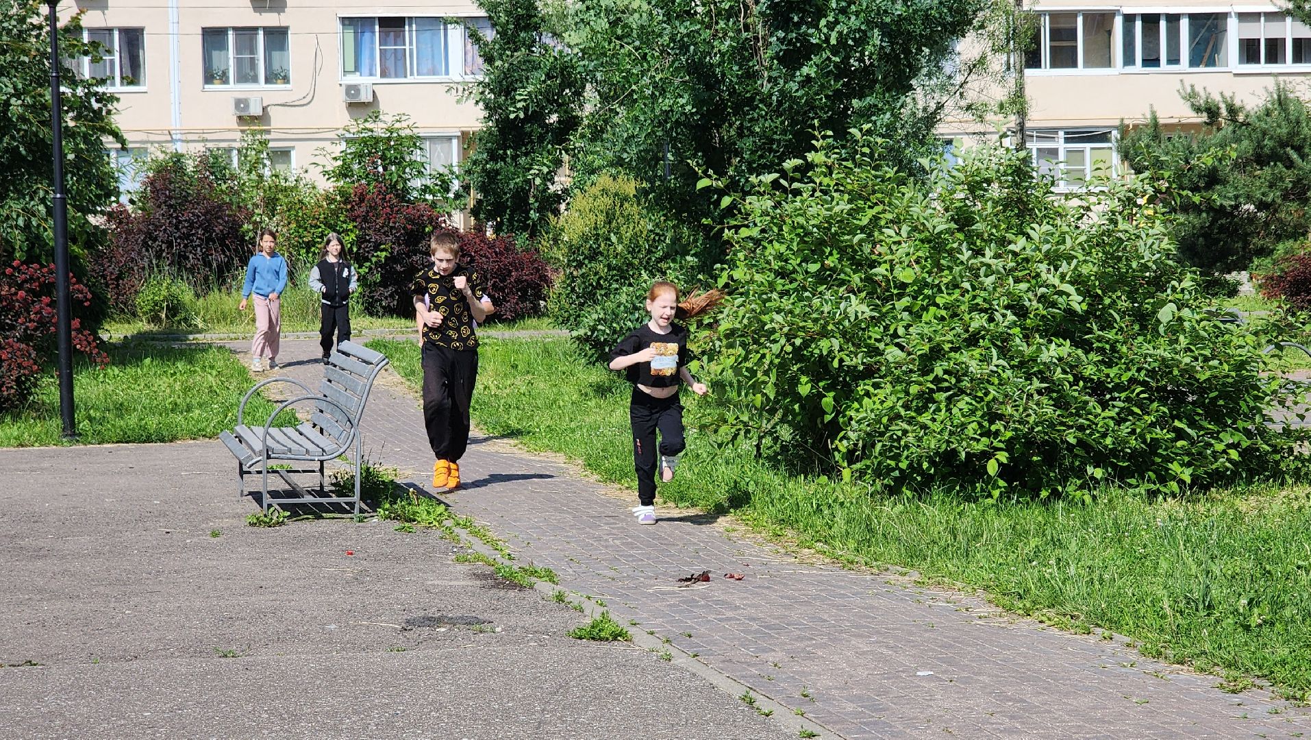 дети, зарядка, лето, каникулы, лосино-петровский,