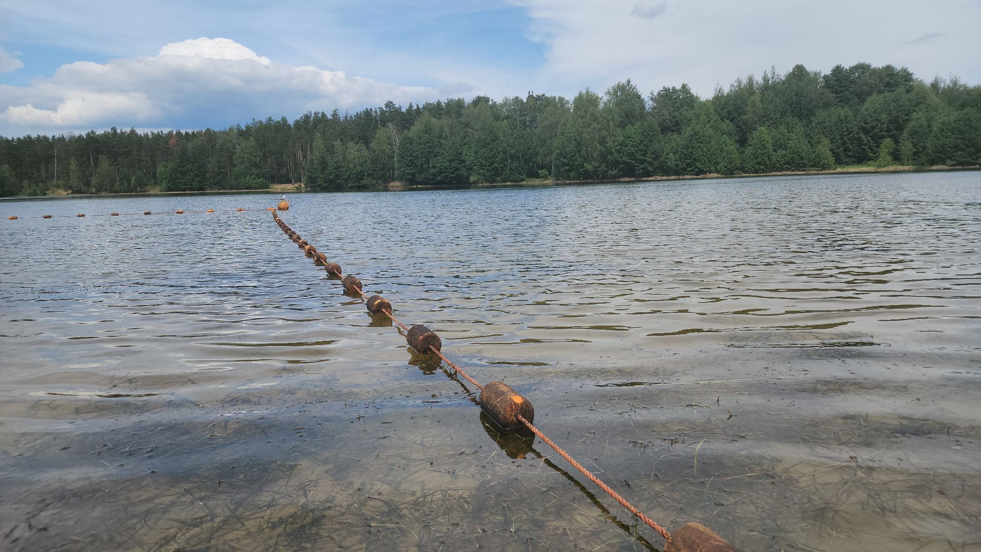 очистка озер, орехово-зуевский округ,сто прудов и озер,