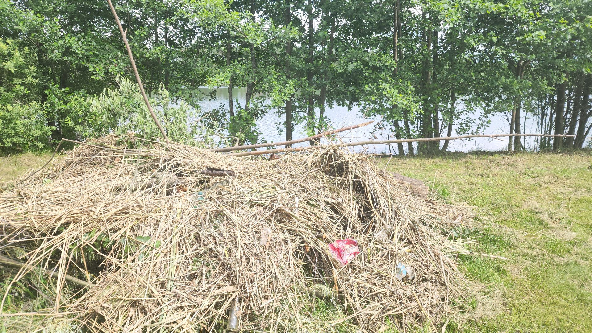 очистка озер, орехово-зуевский округ,сто прудов и озер,