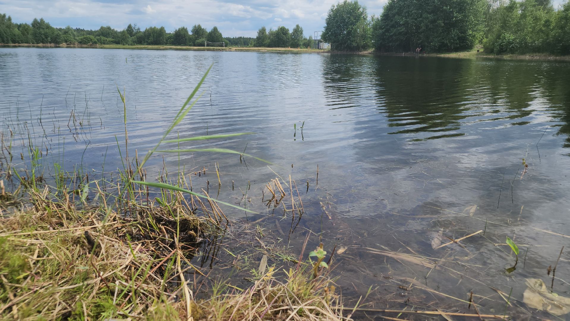 очистка озер, орехово-зуевский округ,сто прудов и озер,