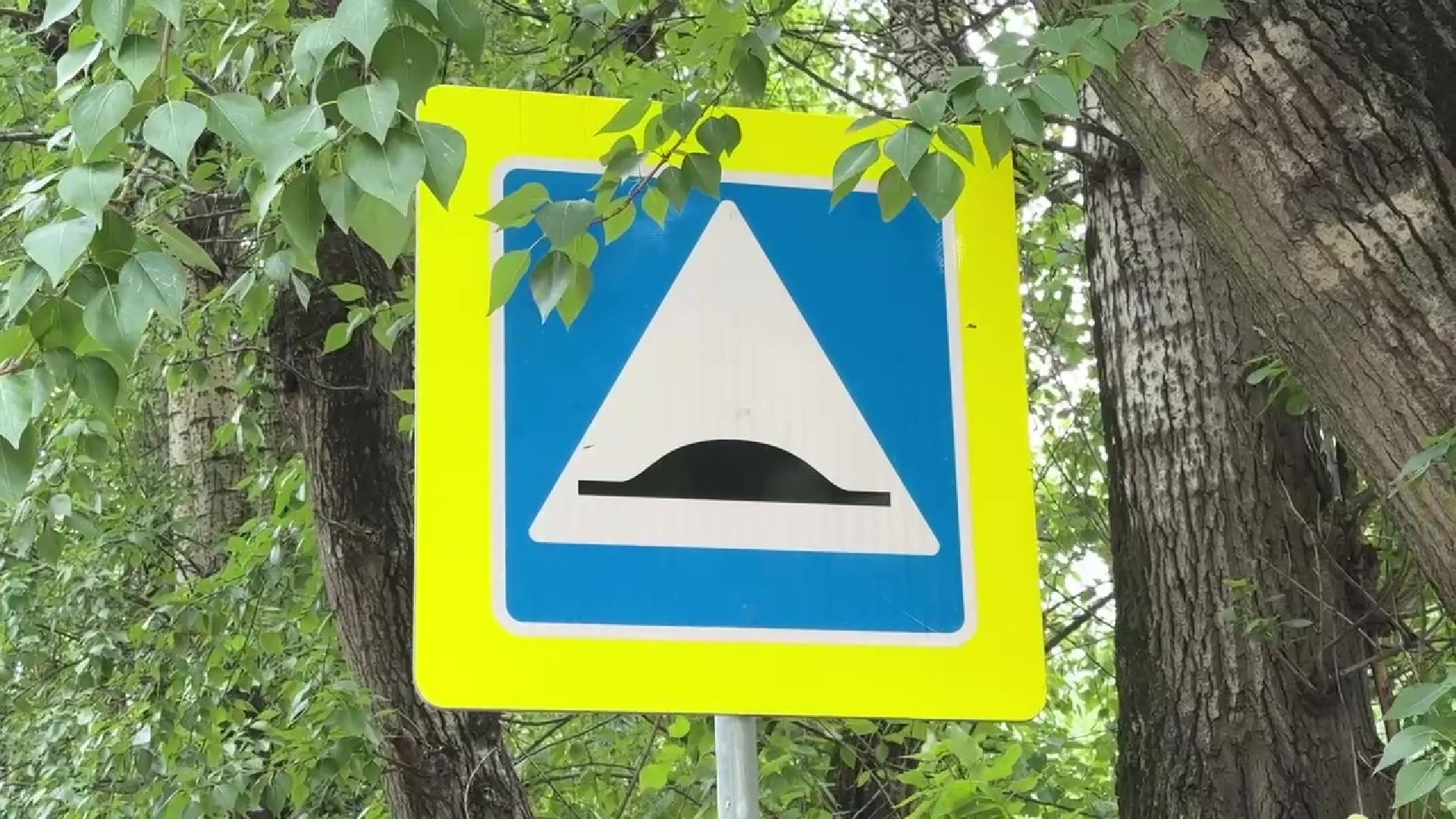 Реутов, лежачие полицейские, искусственная неровность, дети, ДТП,