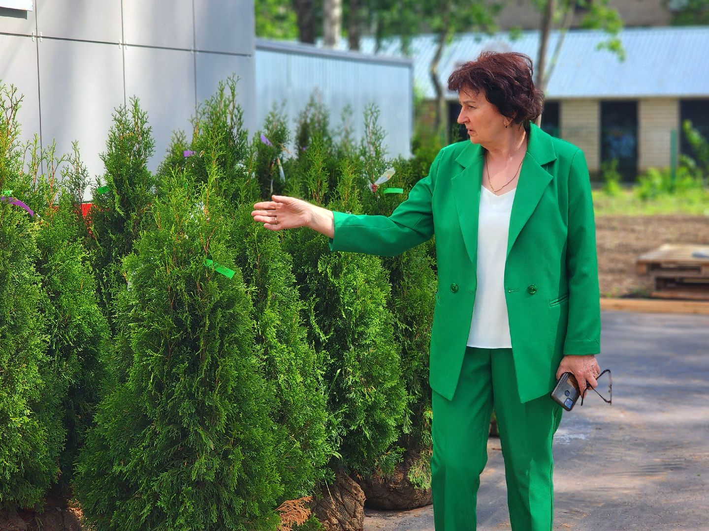 дубна, центр дружба, благоустройство,