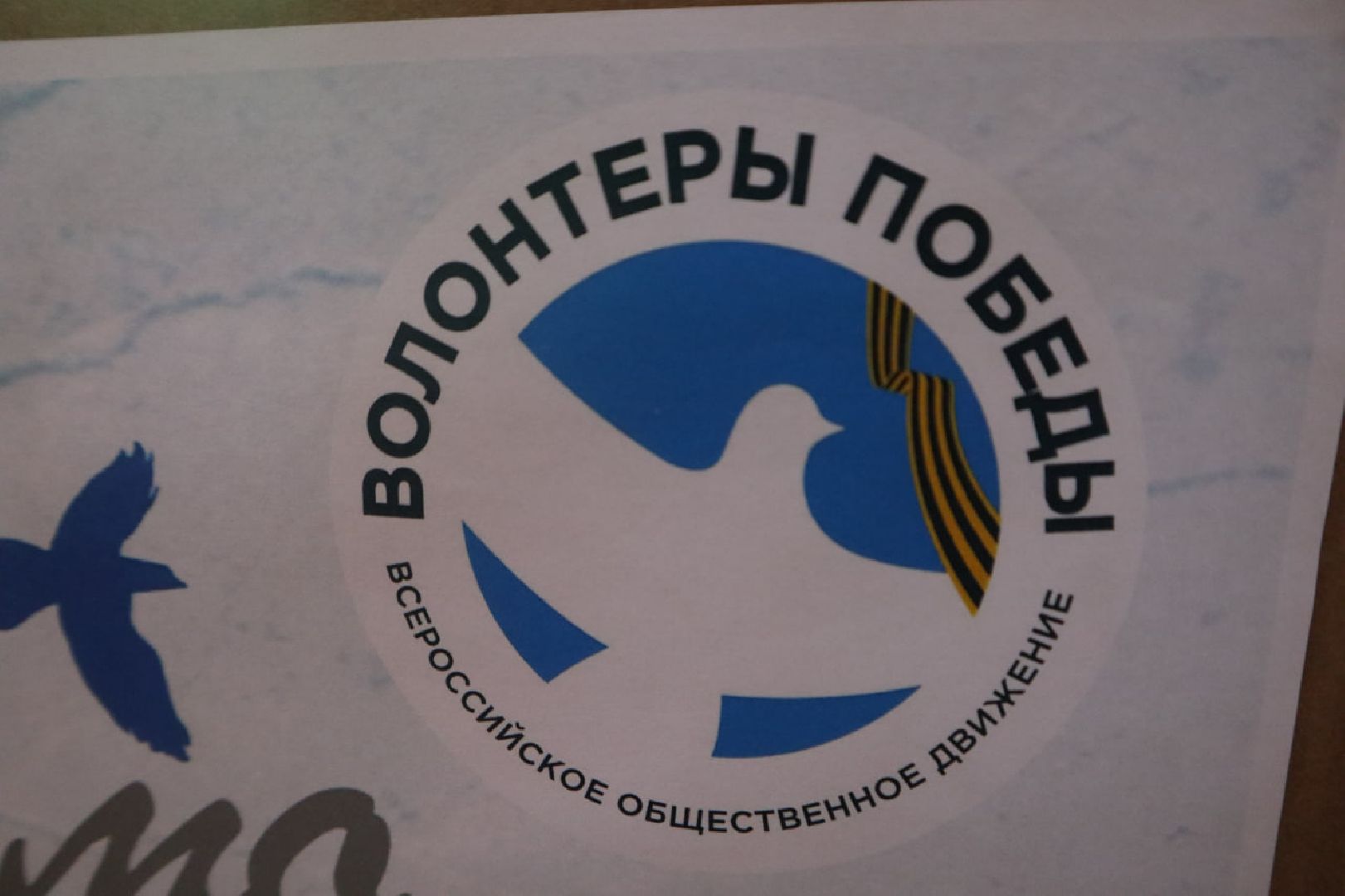 Пущино, СВО, Волонтеры Победы, Письмо Победы