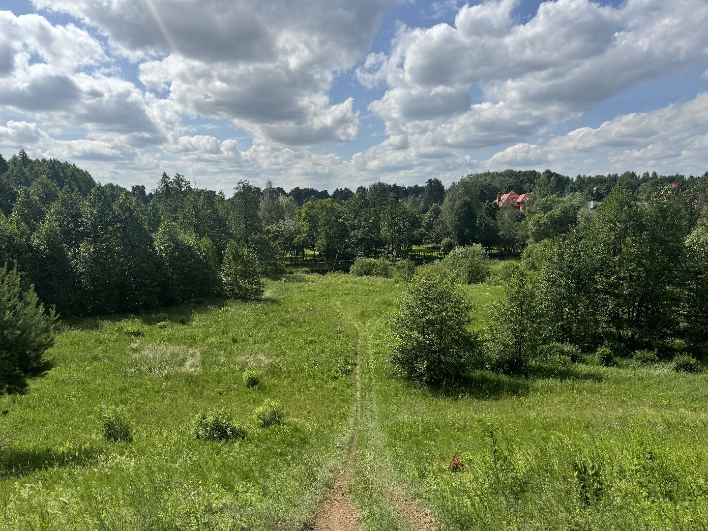 бабочки, краснокнижные насекомые, суханово, ленинский городской округ,