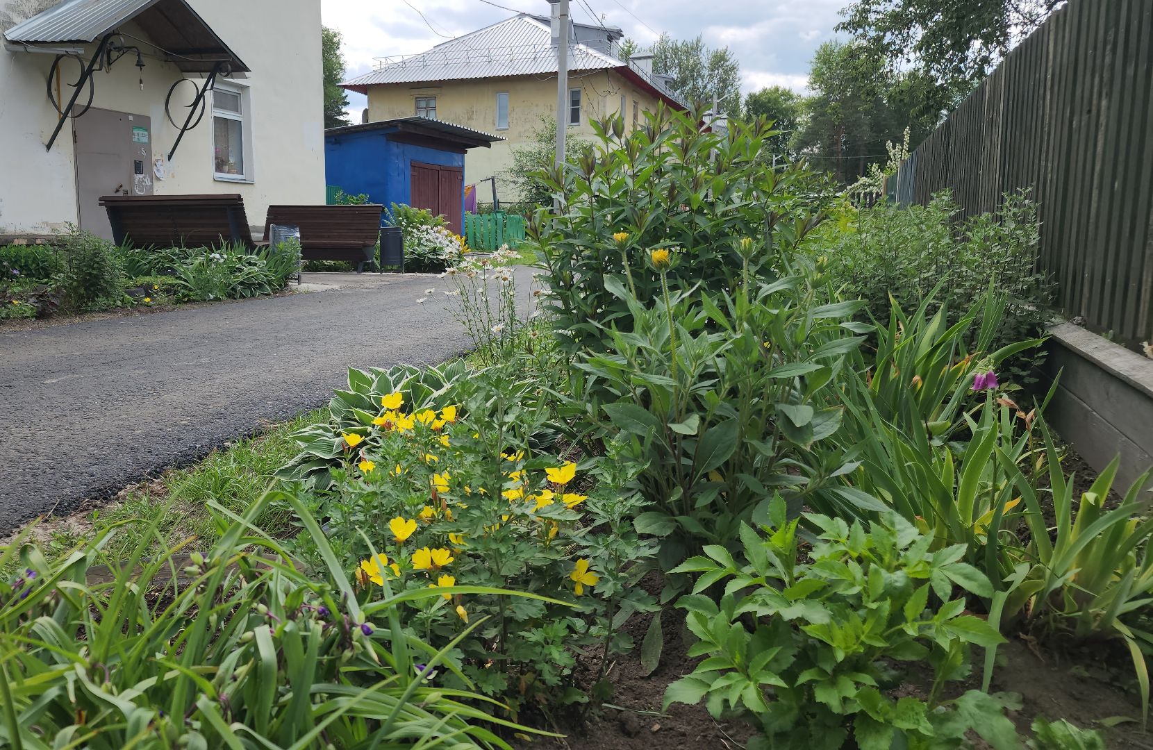 благоустройство дворов, орехово-зуевский округ,