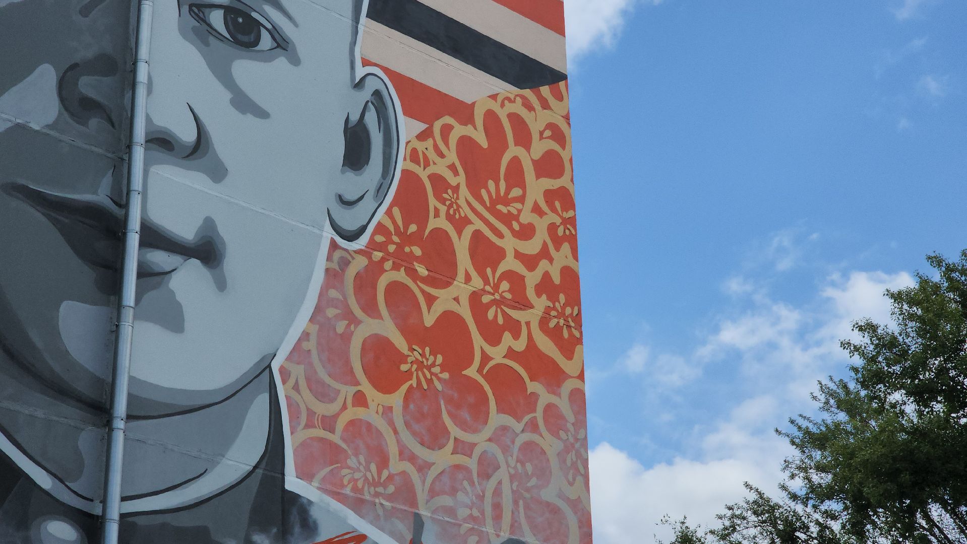 мурал, красногорск, опалиха, елизаров, граффити,