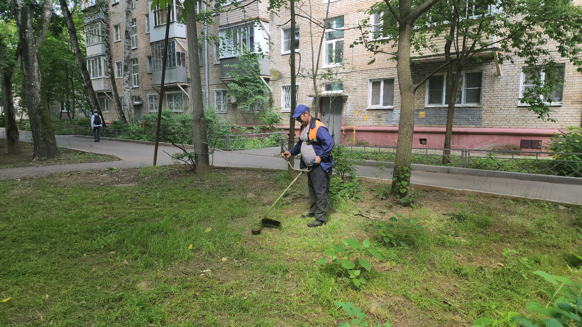 вертикалки, пушкино, покос травы, коммунальная служба, придомовая территория,газонокосилка,