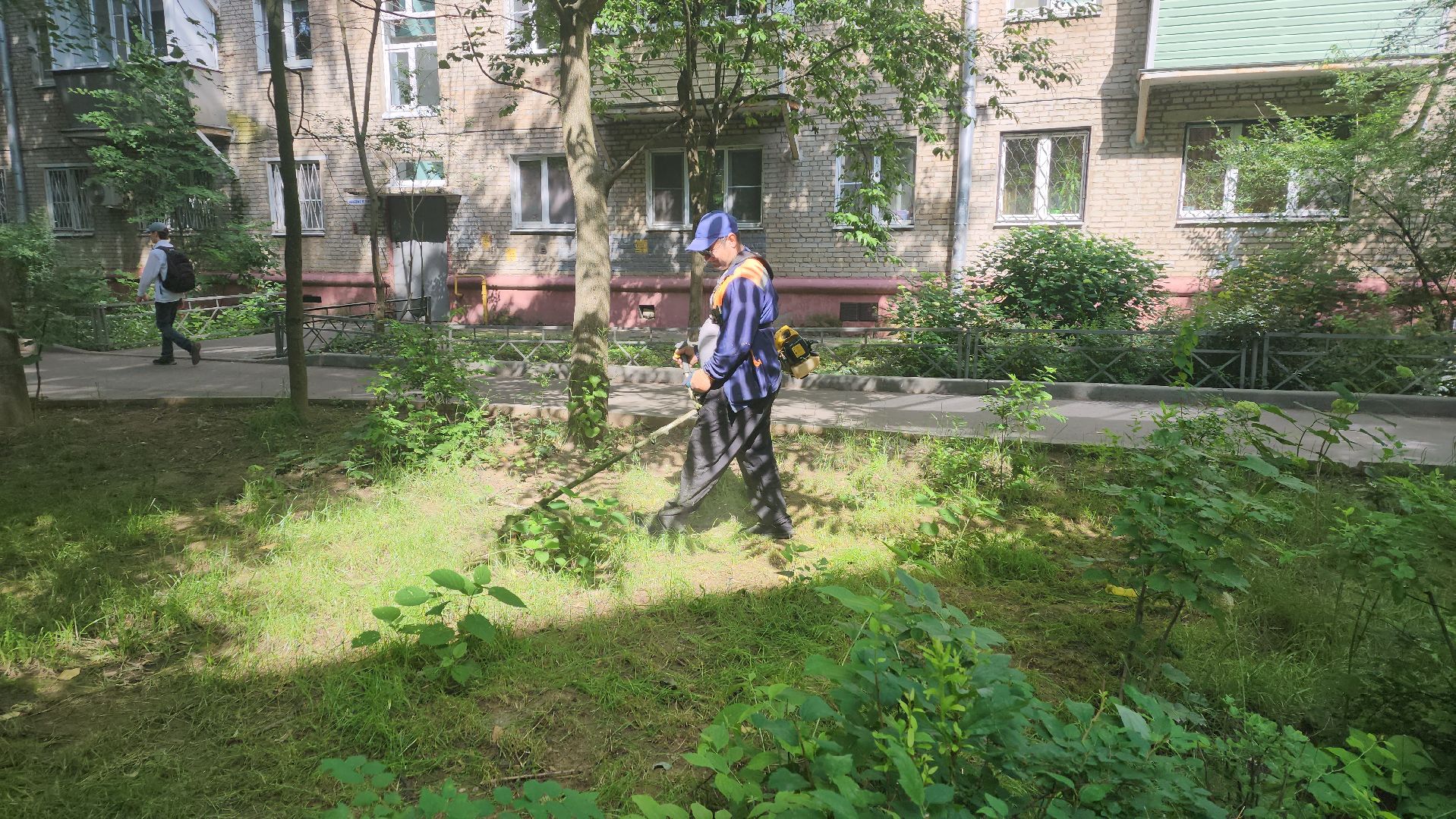 вертикалки, пушкино, покос травы, коммунальная служба, придомовая территория,газонокосилка,