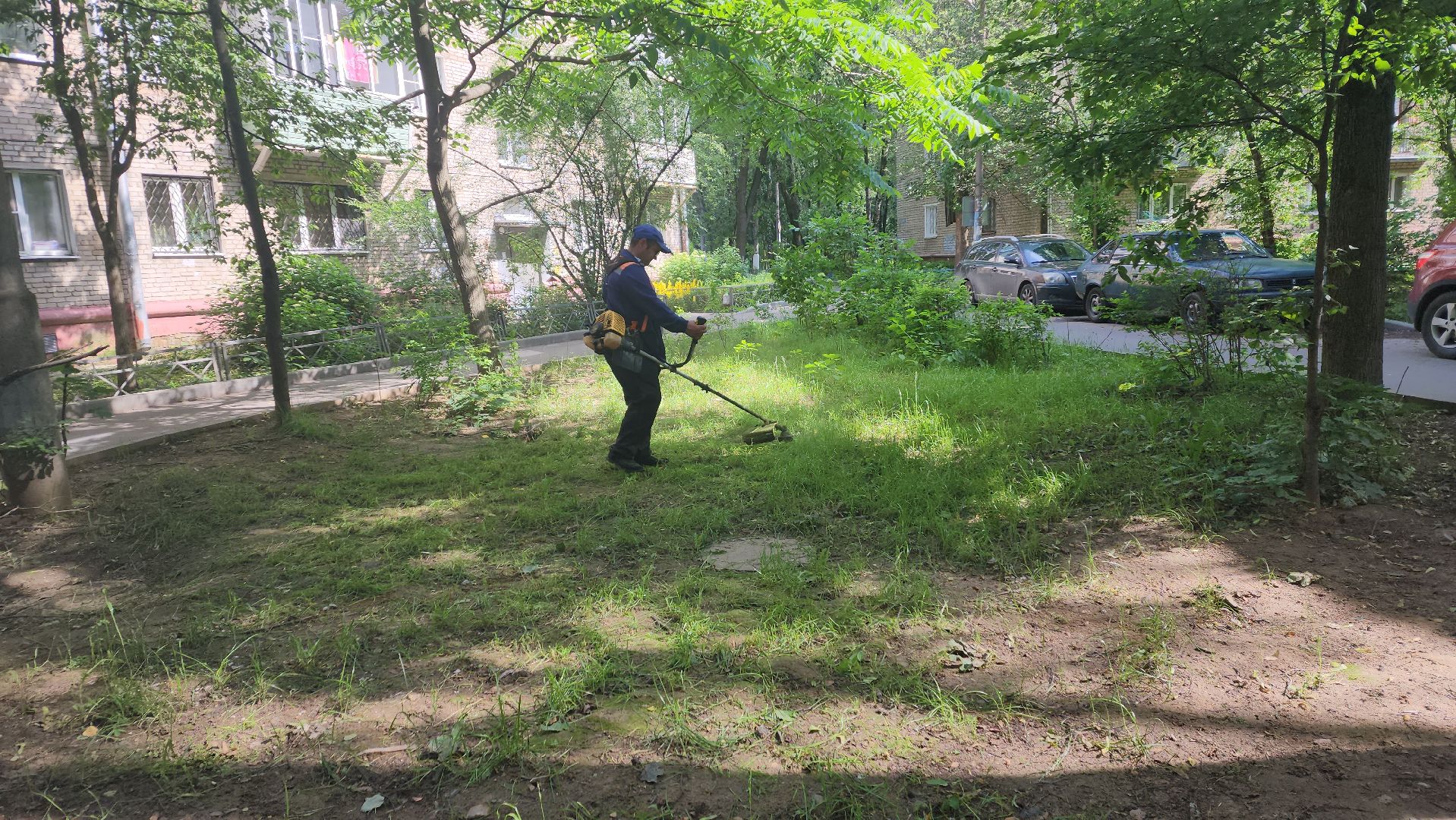 вертикалки, пушкино, покос травы, коммунальная служба, придомовая территория,газонокосилка,