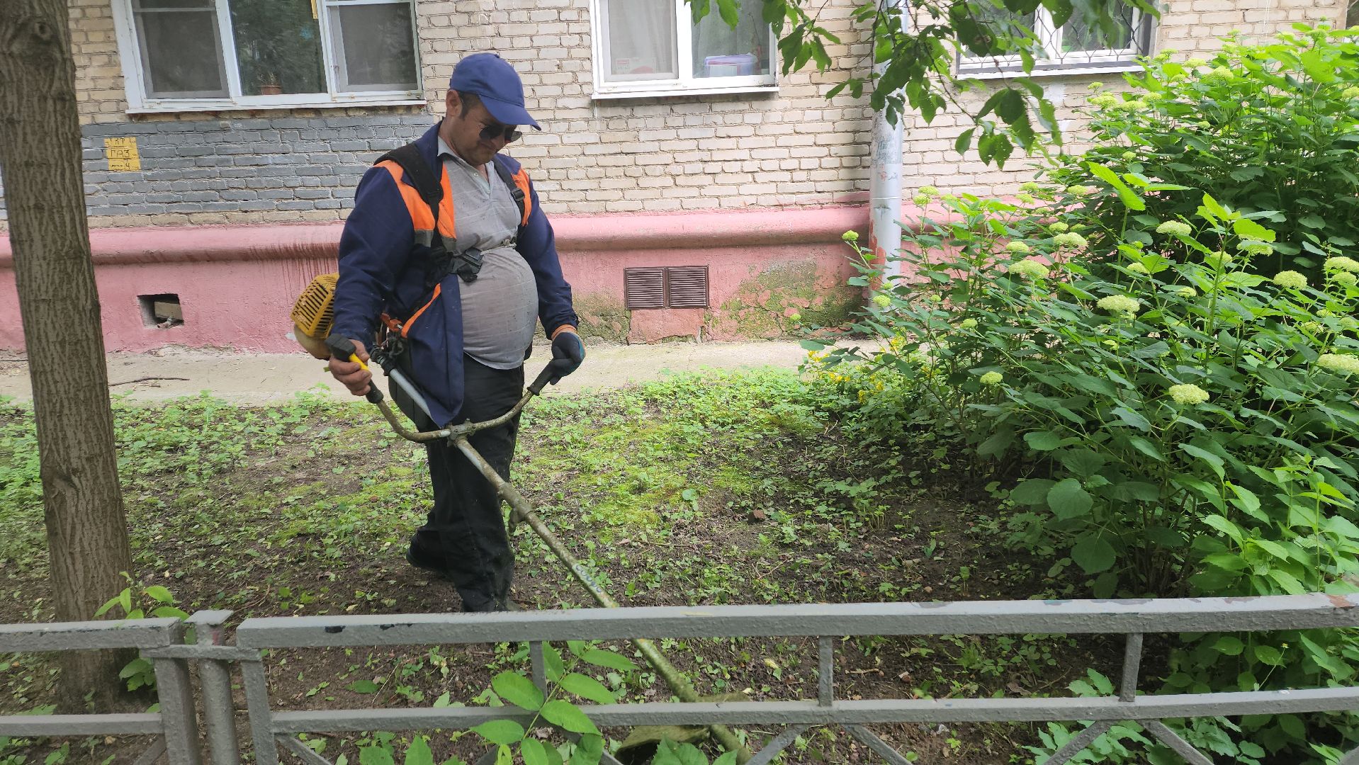 вертикалки, пушкино, покос травы, коммунальная служба, придомовая территория,газонокосилка,