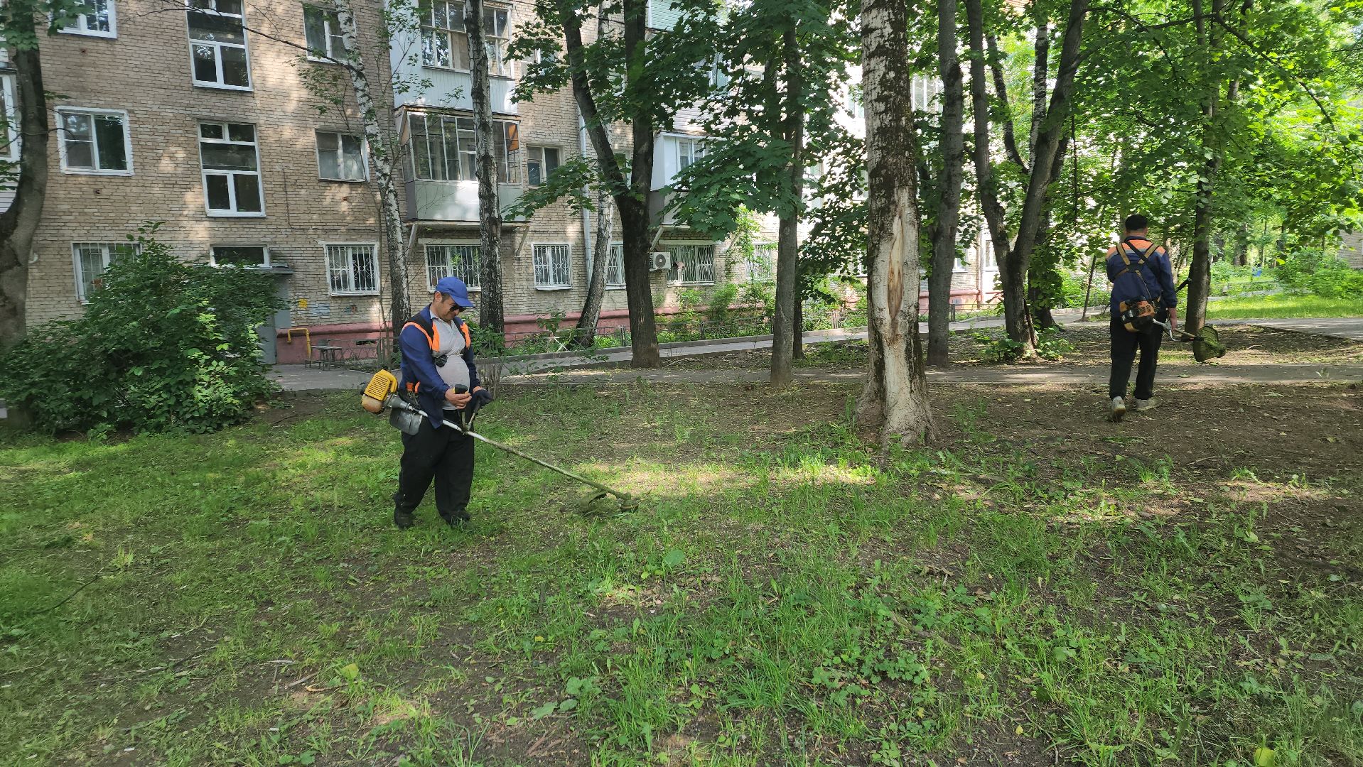 вертикалки, пушкино, покос травы, коммунальная служба, придомовая территория,газонокосилка,