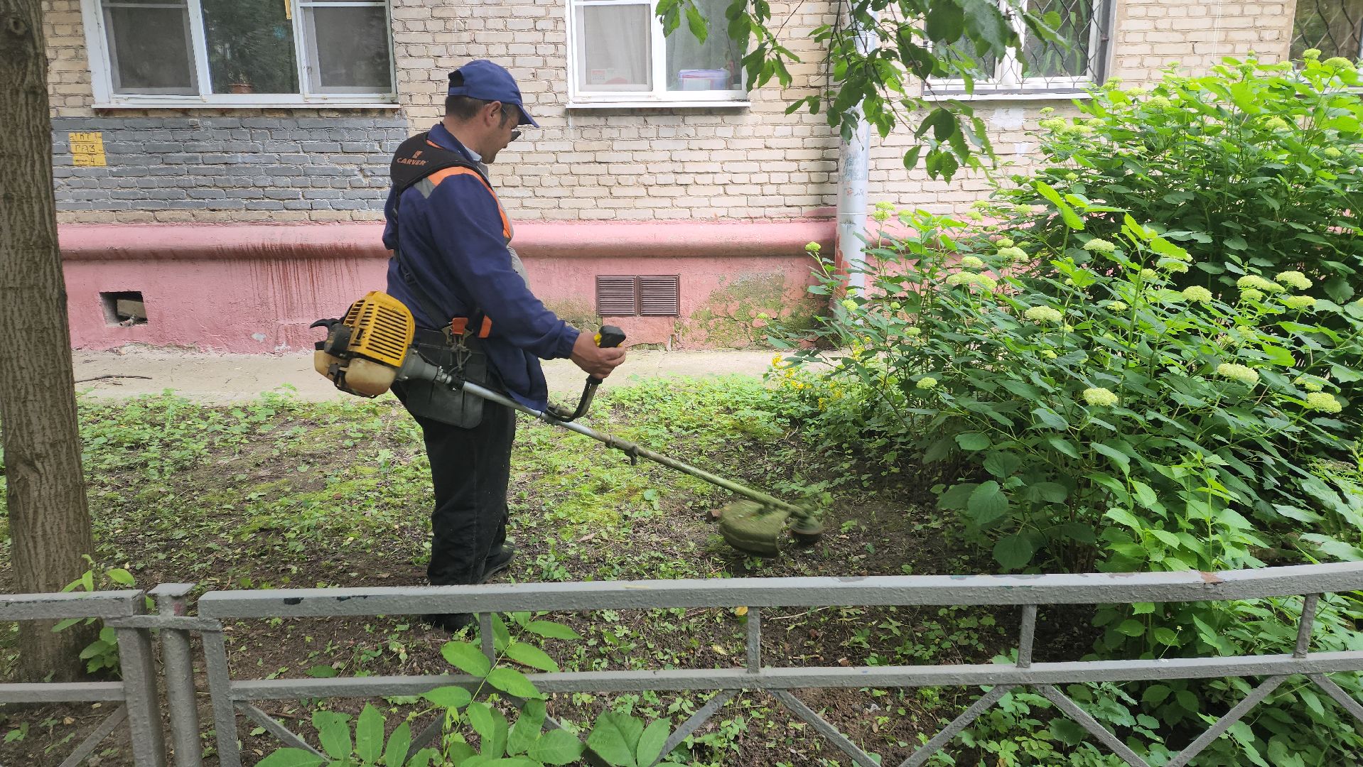 вертикалки, пушкино, покос травы, коммунальная служба, придомовая территория,газонокосилка,
