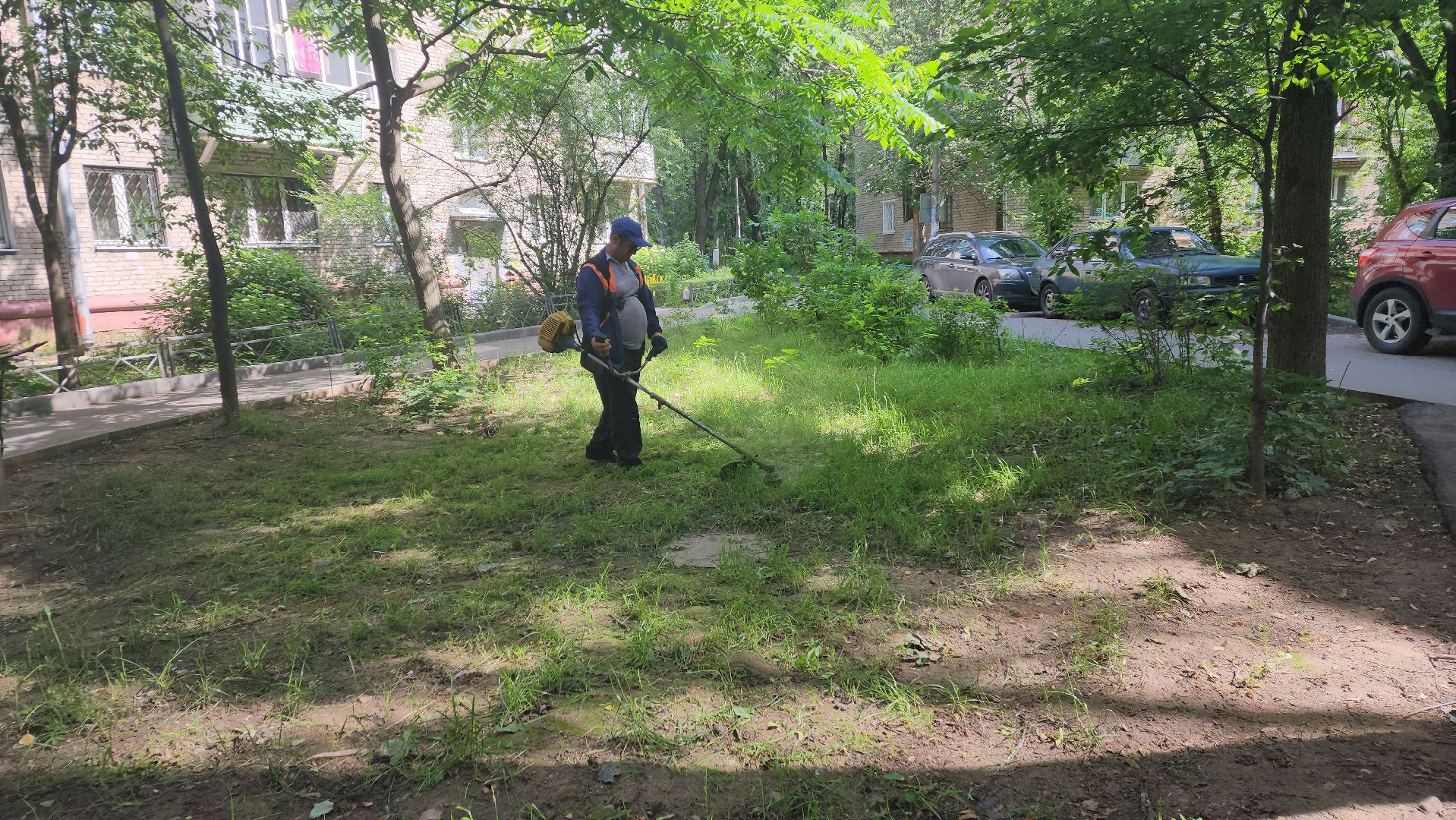 вертикалки, пушкино, покос травы, коммунальная служба, придомовая территория,газонокосилка,
