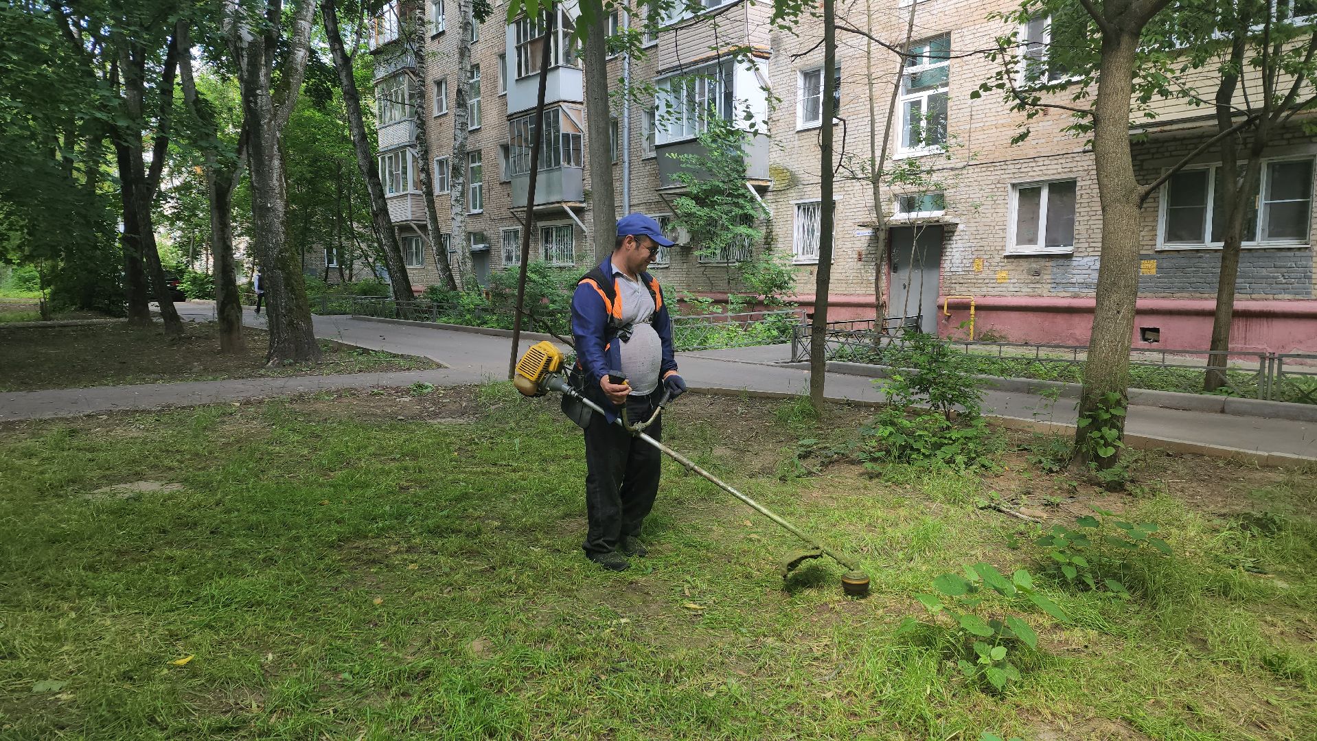 вертикалки, пушкино, покос травы, коммунальная служба, придомовая территория,газонокосилка,