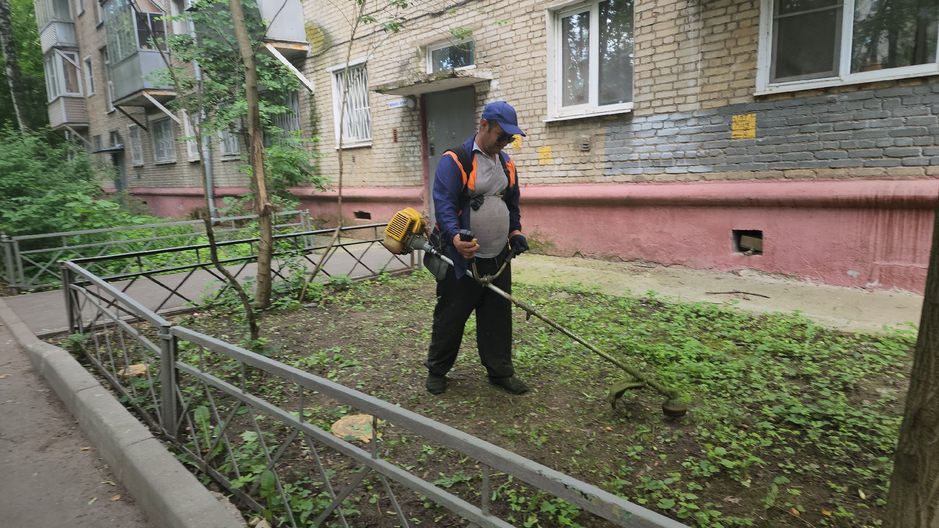 вертикалки, пушкино, покос травы, коммунальная служба, придомовая территория,газонокосилка,