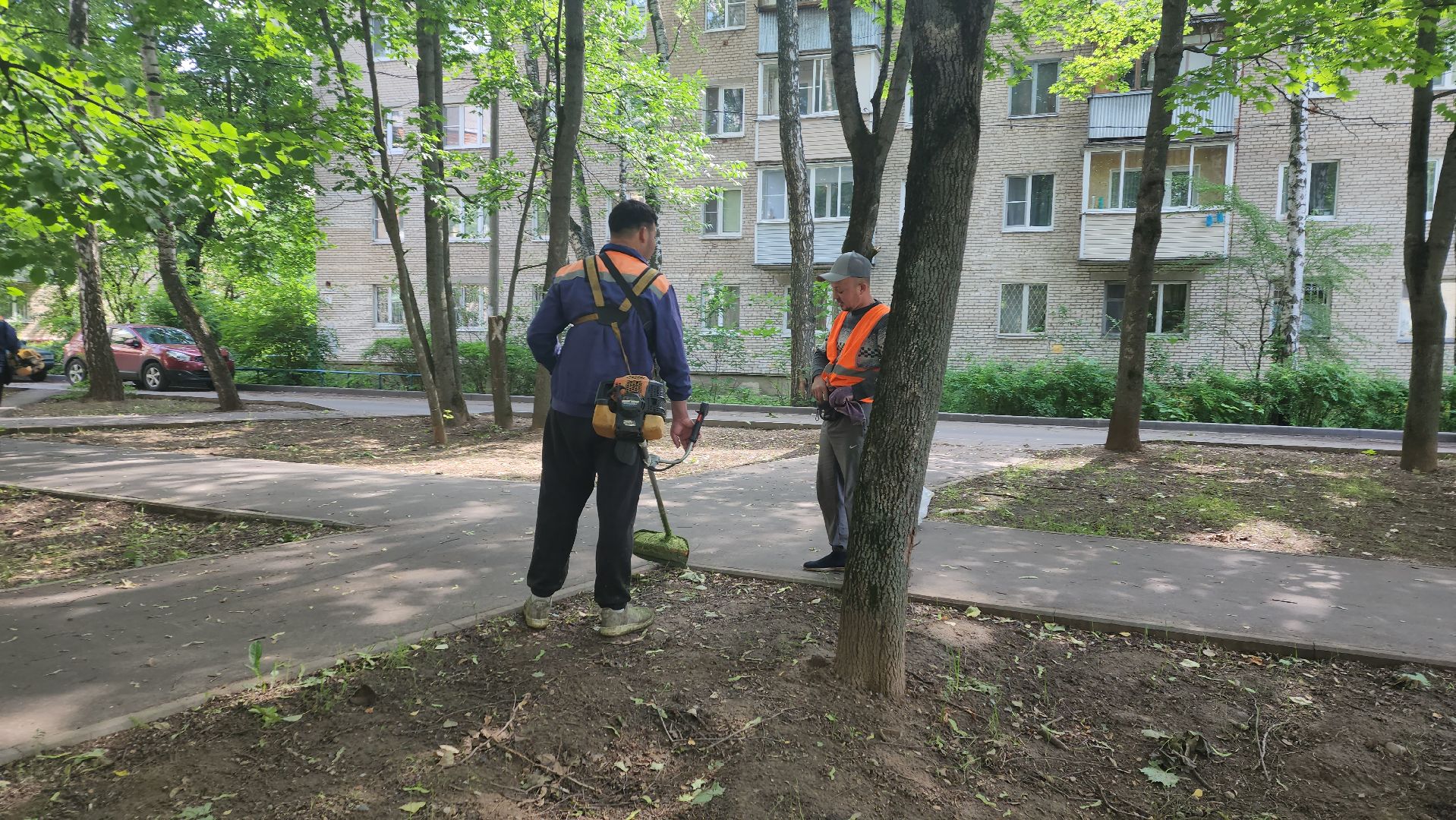вертикалки, пушкино, покос травы, коммунальная служба, придомовая территория,газонокосилка,