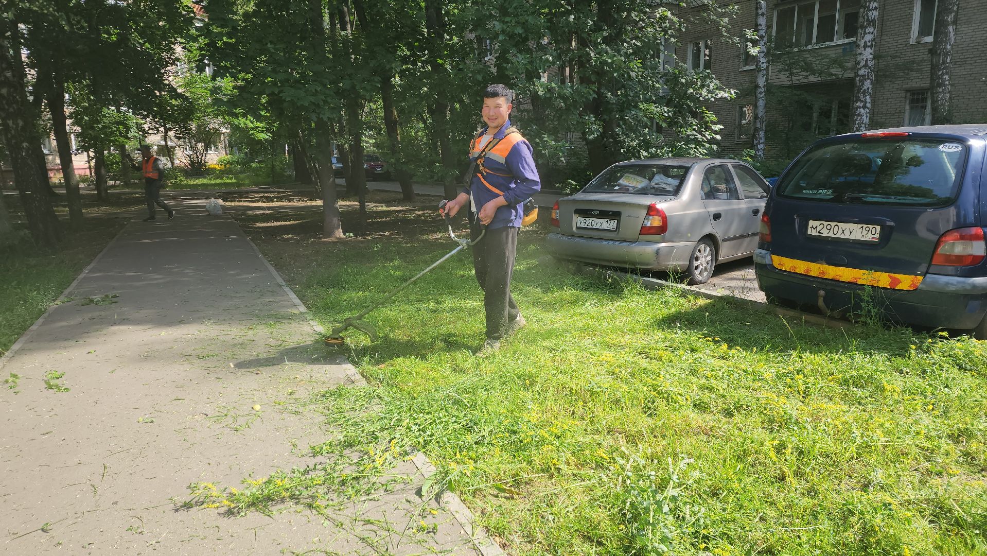 вертикалки, пушкино, покос травы, коммунальная служба, придомовая территория,газонокосилка,