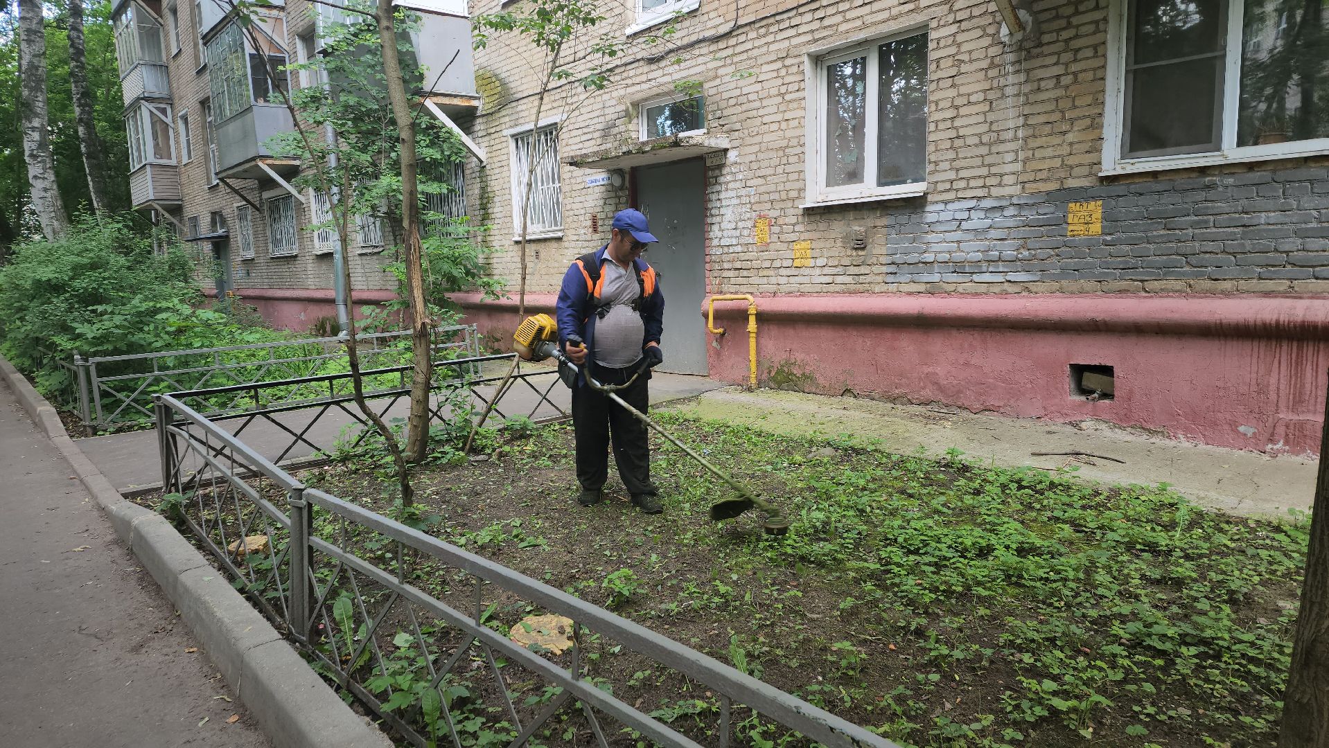 вертикалки, пушкино, покос травы, коммунальная служба, придомовая территория,газонокосилка,