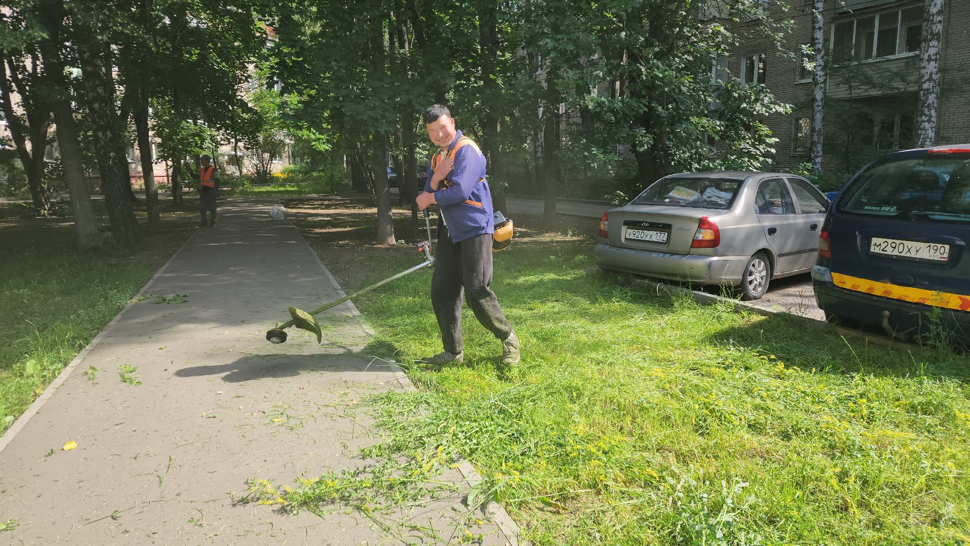 вертикалки, пушкино, покос травы, коммунальная служба, придомовая территория,газонокосилка,