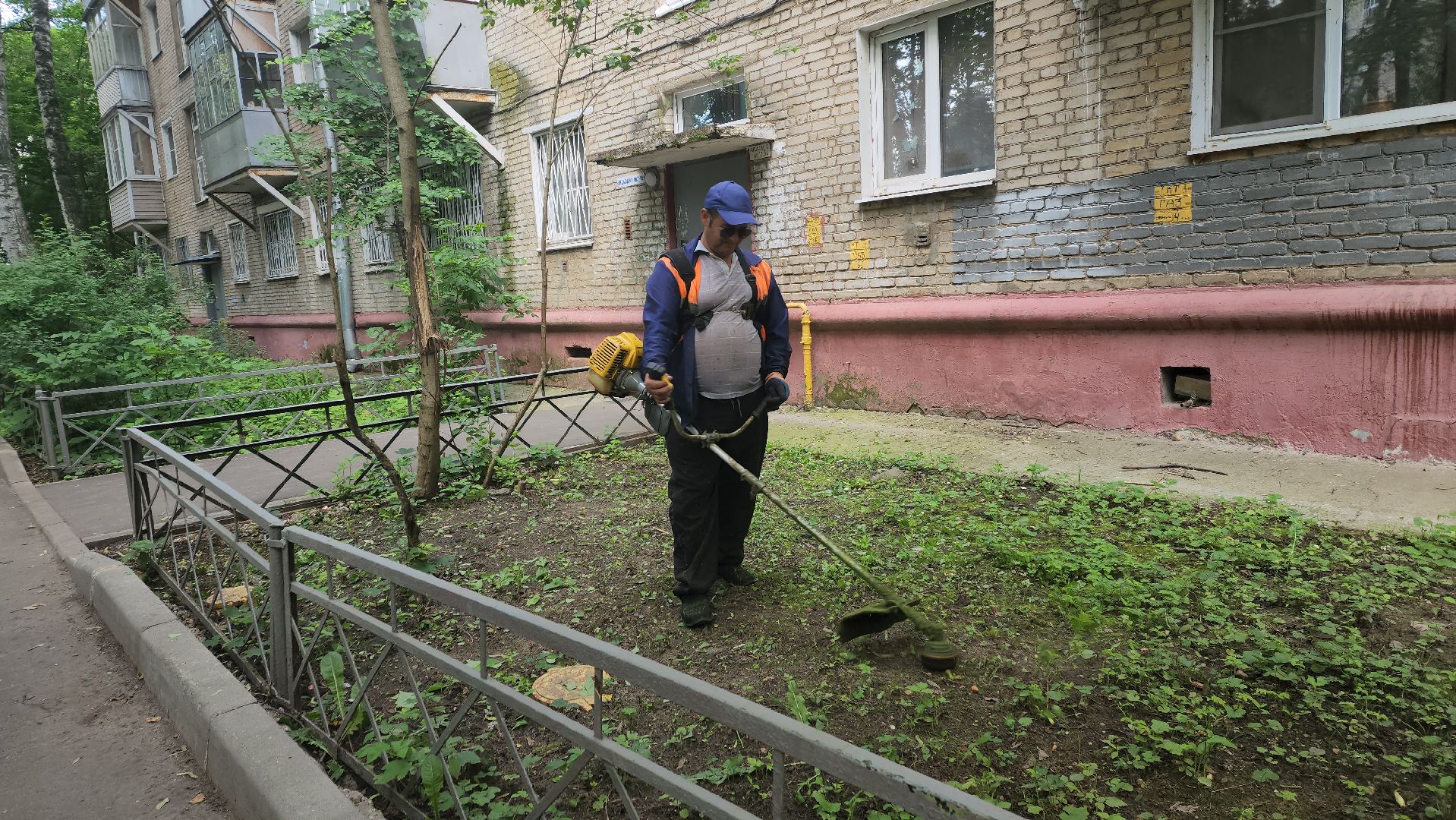 вертикалки, пушкино, покос травы, коммунальная служба, придомовая территория,газонокосилка,