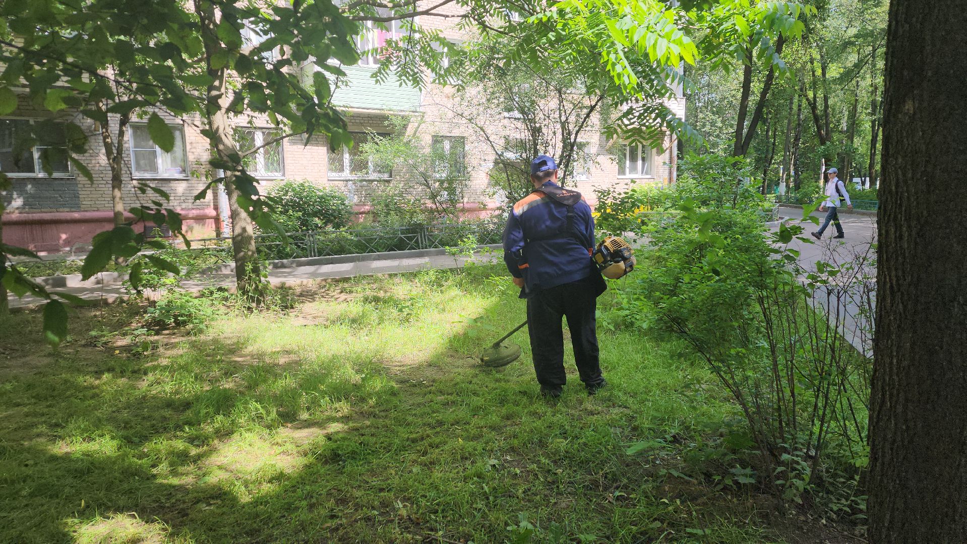 вертикалки, пушкино, покос травы, коммунальная служба, придомовая территория,газонокосилка,