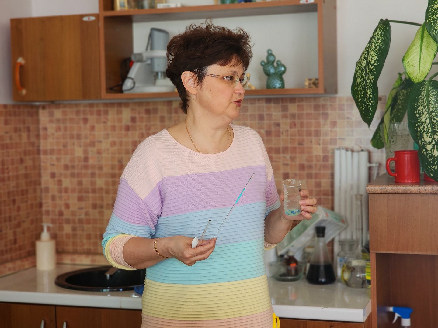 дубна, лицей 6, егэ по химии, единый государственный экзамен, 100 баллов по егэ,