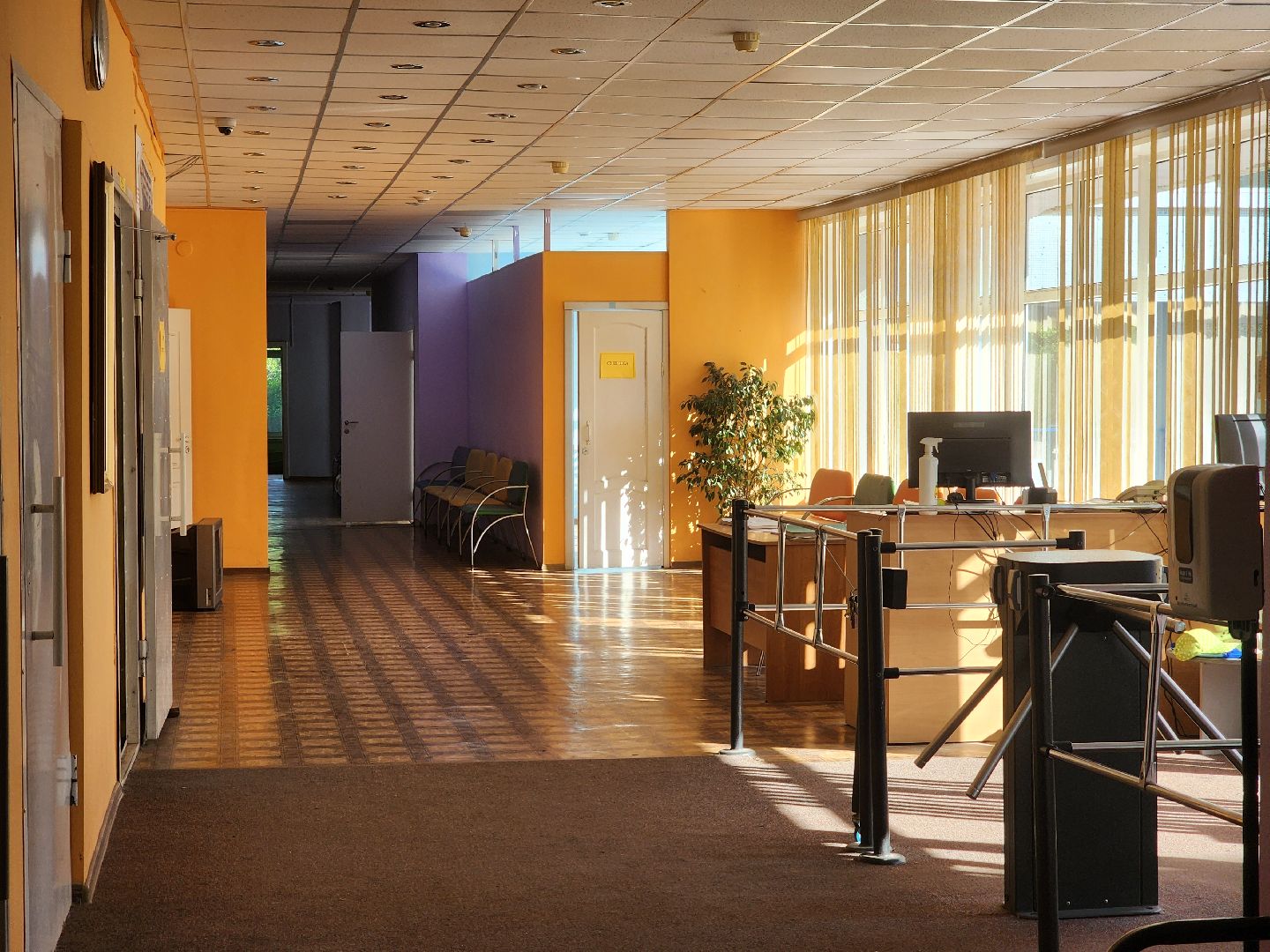 дубна, лицей 6, егэ по химии, единый государственный экзамен, 100 баллов по егэ,