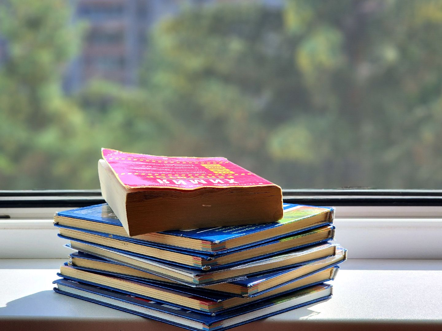 дубна, лицей 6, егэ по химии, единый государственный экзамен, 100 баллов по егэ,